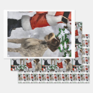 Feuille De Papier Cadeau Noeud À poils durs allemand