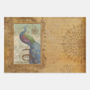 Feuille De Papier Cadeau Oiseau de Pacock Vintage