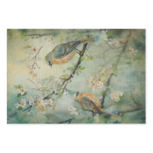 Oiseaux forestiers de printemps des terres fécales