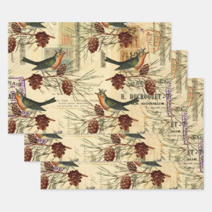 Feuille De Papier Cadeau Oiseaux verts Vintages et cônes de pins