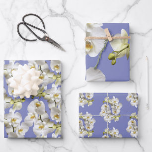 Feuille De Papier Cadeau Orchidées blanches Pervenche Bleu Lavande