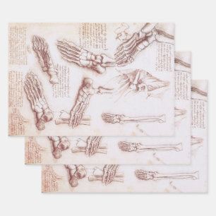 Feuille De Papier Cadeau Os de pied anatomiques humaines de Léonard de Vinc
