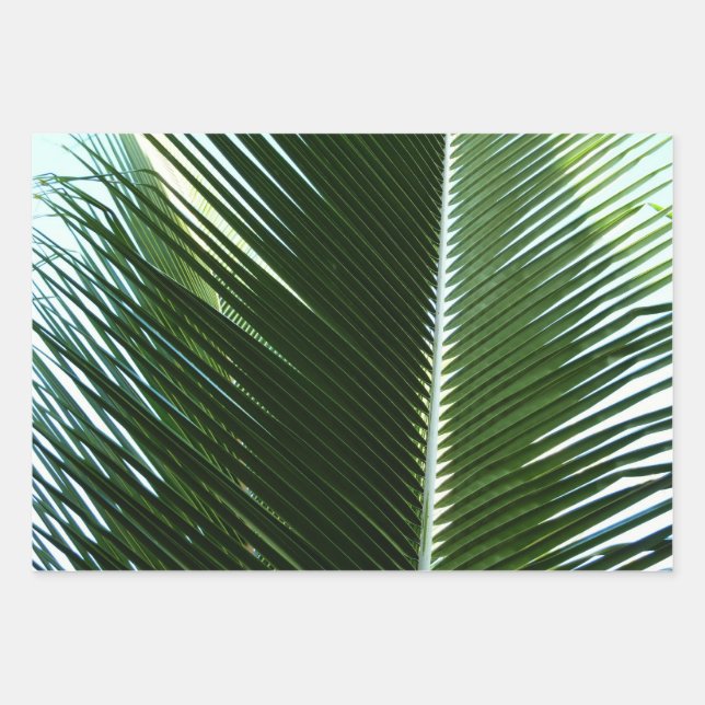 Feuille De Papier Cadeau Overlapping Palm Fronds Tropical Green Abstract (Devant)