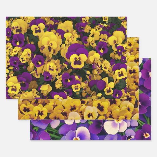 Feuille De Papier Cadeau Pansies jaune et violet (Lot)