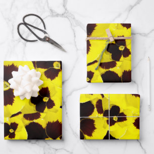 Feuille De Papier Cadeau Pansies jaunes et Brown : Élégance chaude en fleur