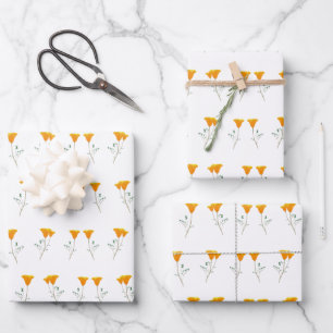 Feuille De Papier Cadeau Papiers enveloppés par les papillons de Californie