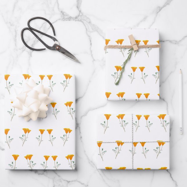 Feuille De Papier Cadeau Papiers enveloppés par les papillons de Californie (Recto)