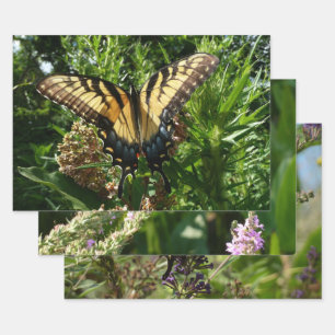 Feuille De Papier Cadeau Papillon Swallowtail III Belle photo colorée