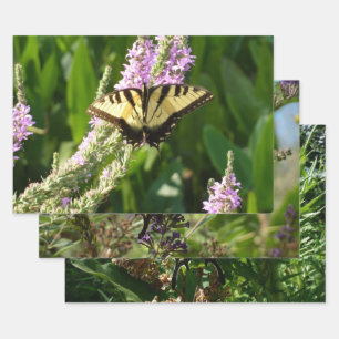 Feuille De Papier Cadeau Papillon Swallowtail sur Fleurs sauvages pourpres