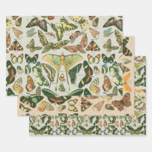 Feuille De Papier Cadeau Papillon Vintage Papillons d'antiquités Motif