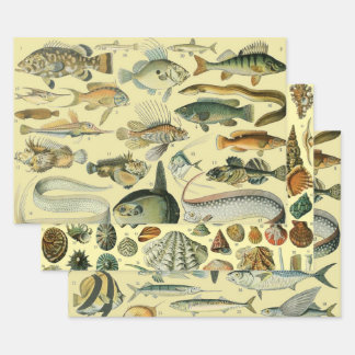 Feuille De Papier Cadeau Pêche scientifique vintage