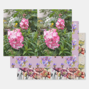 Feuille De Papier Cadeau Pendenstein rose Fleur Poppies Florales Aquarelle