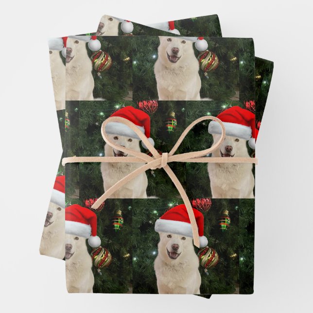 Feuille De Papier Cadeau Père Noël Paws - Crystal the Husky (En situation)