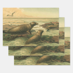 Feuille De Papier Cadeau Phoques léopards, Animaux aquatiques Vintages Vie 