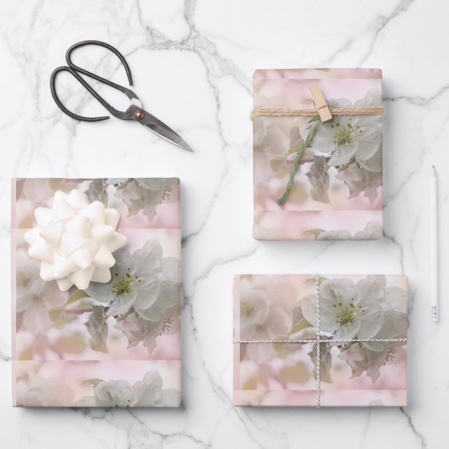 Feuille De Papier Cadeau Photo en fleurs de pomme blanche (Recto)