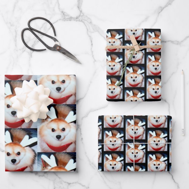 Feuille De Papier Cadeau Photo sur mesure de Chien Pomeranian (Recto)