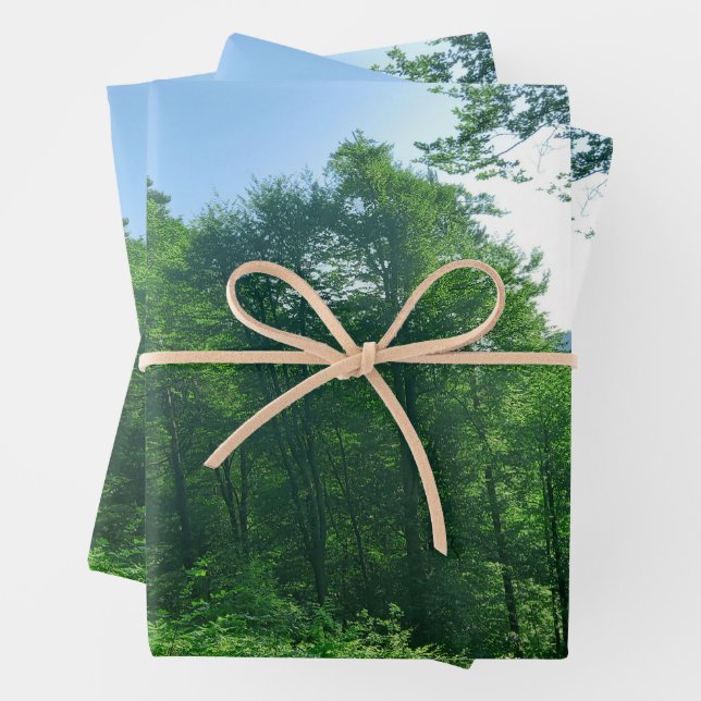Feuille De Papier Cadeau Photographie du paysage de la forêt verte (En situation)