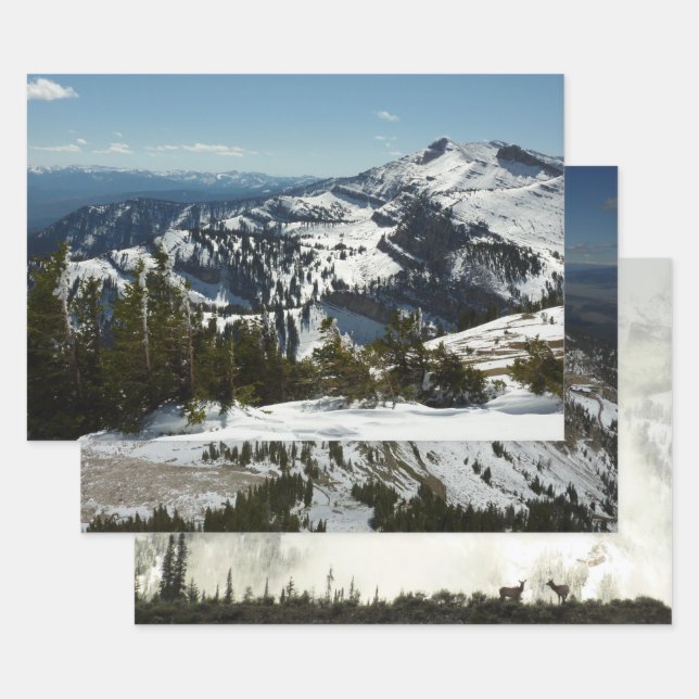 Feuille De Papier Cadeau Pics neigeux du Grand Teton (Lot)