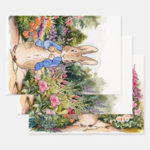 Feuille De Papier Cadeau Pierre le lapin dans son jardin