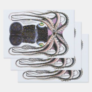 Feuille De Papier Cadeau Pieuvre ou calmar géant, Animaux de la vie marine 