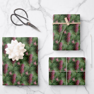Feuille De Papier Cadeau Pins Cônes Et Aiguilles De Pins Motif De La Nature