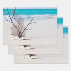 Feuille De Papier Cadeau Plage de sable avec coquillages blancs