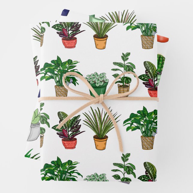 Feuille De Papier Cadeau Plantes domestiques dessinées à la main Anniversai (En situation)