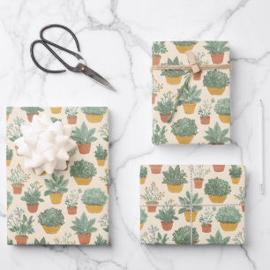 Feuille De Papier Cadeau Plantes en pot Style d'illustration botanique Moye