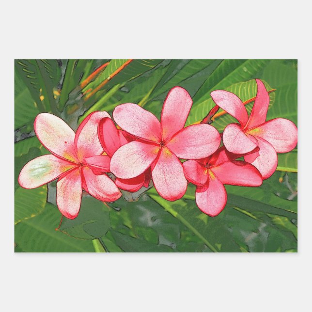 Feuille De Papier Cadeau plumérie (Devant 3)