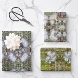 Feuille De Papier Cadeau Pods, graines et soie de lait   Naturel  