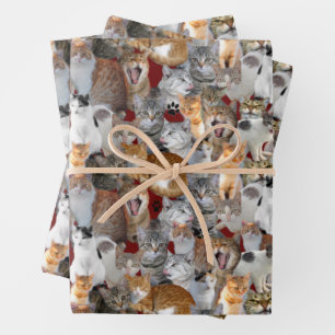 Feuille De Papier Cadeau Point de rencontre des chats - collage