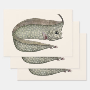 Feuille De Papier Cadeau Poisson d'Oarfish vintage, Vie aquatique marine