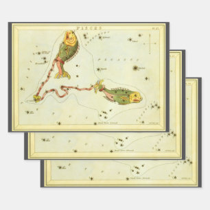 Feuille De Papier Cadeau Poissons, Constellation Vintage Urania's Mirror