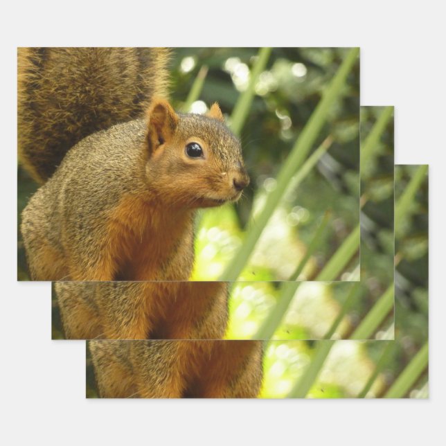 Feuille De Papier Cadeau Portrait d'un écureuil Nature Animal Photographie (Lot)