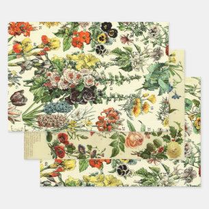 Feuille De Papier Cadeau Poster vintage Hollyhock Fleurs