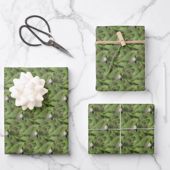 Feuille De Papier Cadeau Poules et poulets Succulents Motif de la nature (Recto)