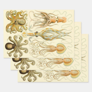 Feuille De Papier Cadeau Poulpe Vintage Squid Gamochonia par Ernst Haeckel