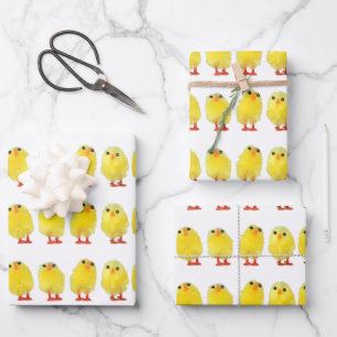Feuille De Papier Cadeau Poussins de Pâques