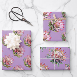 Feuille De Papier Cadeau Protea sugarbush fleur violet sud-africain