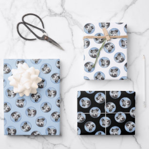 Feuille De Papier Cadeau Pumi Peinture Grey Pumik mignonne Original Pet Chi
