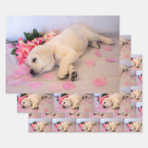 Feuille De Papier Cadeau Puppy Sleep Flower 01