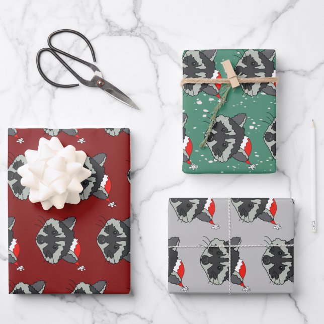 Feuille De Papier Cadeau Raccoon de Noël (Recto)