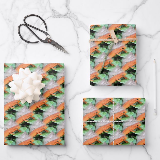 Feuille De Papier Cadeau Red Eft Orange Salamander Motif animal (Recto)
