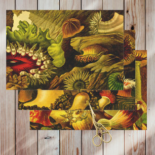 Feuille De Papier Cadeau Retro Undersea Life Anemones de mer et Corail 3 St