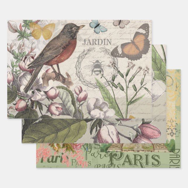 Feuille De Papier Cadeau Robin Elegant Bird Butterfly French Art (Lot)