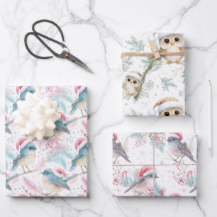 Feuille De Papier Cadeau Robin Owl Motif Noël de l'hémisphère Sud