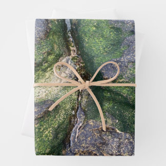 Feuille De Papier Cadeau Roches de la plage moussue verte jade de Toowoon B