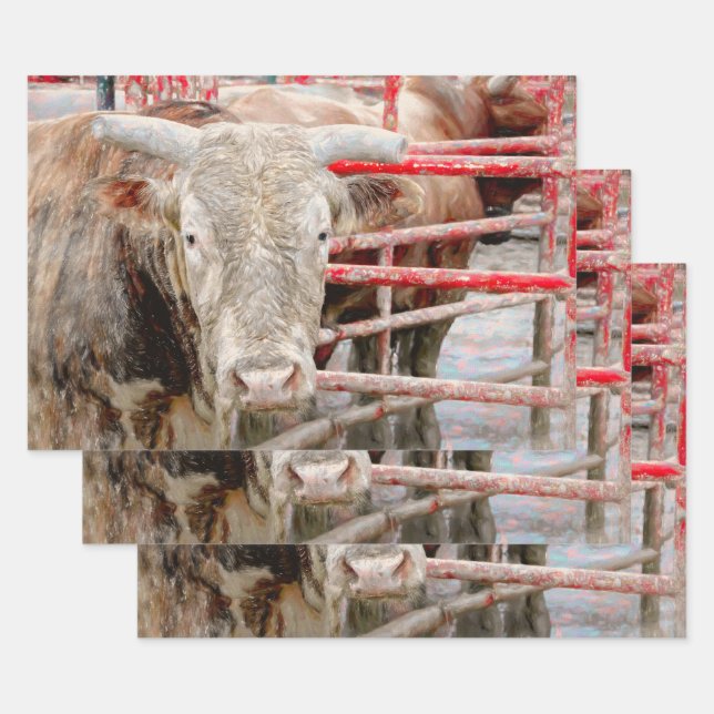 Feuille De Papier Cadeau Rodeo Bull Rustique Pays Ouest (Lot)