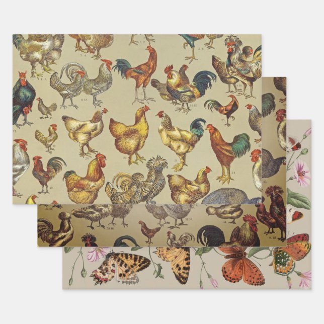 Feuille De Papier Cadeau Rooster Poulet de la ferme Pays Animal (Lot)