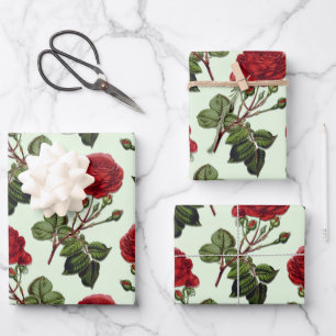 Feuille De Papier Cadeau Rose Red Long Stem Motif Mint Green Arrière - plan